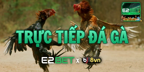 e2bet đá gà