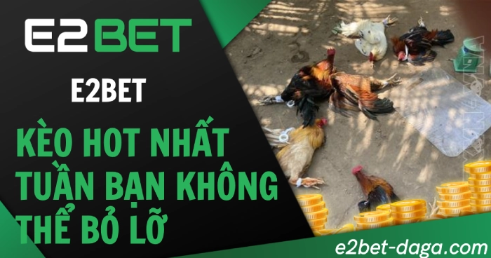 Đá Gà E2BET: Kèo Hot Nhất Tuần Bạn Không Thể Bỏ Lỡ