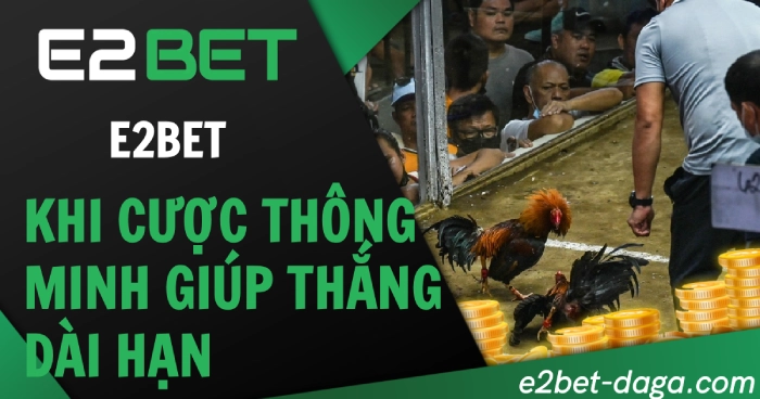 E2BET Đá Gà: Khi Cược Thông Minh Giúp Thắng Dài Hạn