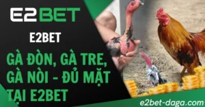 Gà Đòn, Gà Tre, Gà Nòi – Đủ Mặt Tại E2BET