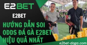 Hướng Dẫn Soi Odds Đá Gà E2BET Hiệu Quả Nhất
