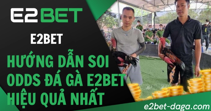 Hướng Dẫn Soi Odds Đá Gà E2BET Hiệu Quả Nhất