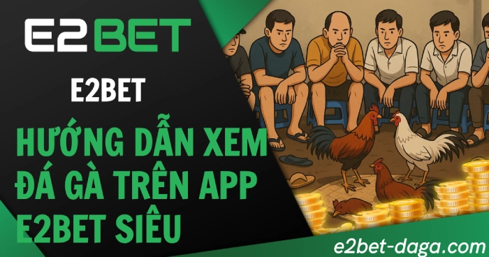 Hướng Dẫn Xem Đá Gà Trên App E2BET Siêu Nhanh