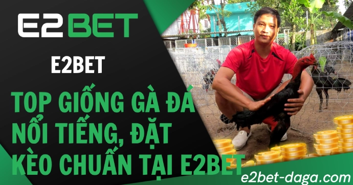 Top Giống Gà Đá Nổi Tiếng, Đặt Kèo Chuẩn Tại E2BET