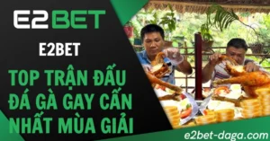 Top Trận Đá Gà Gay Cấn Nhất Mùa Giải Trên E2BET