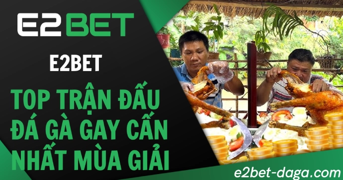 Top Trận Đá Gà Gay Cấn Nhất Mùa Giải Trên E2BET